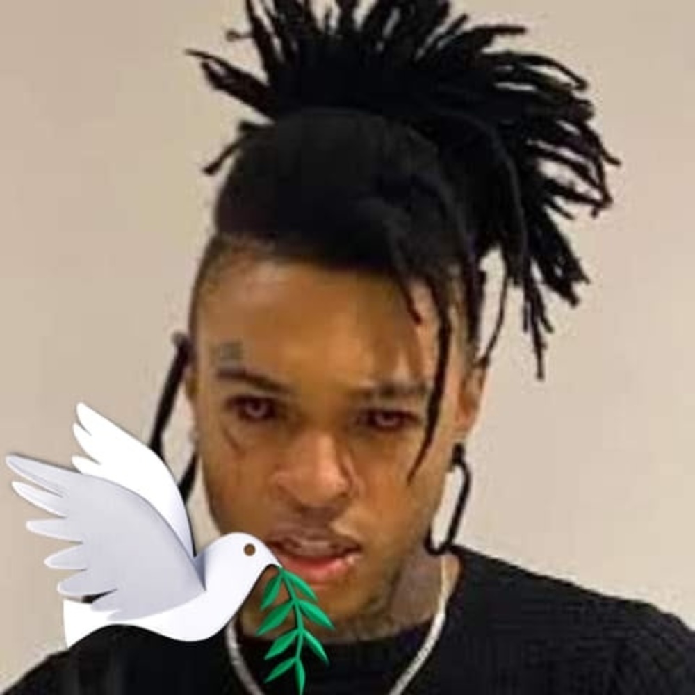 Meet your Posher, Tyler